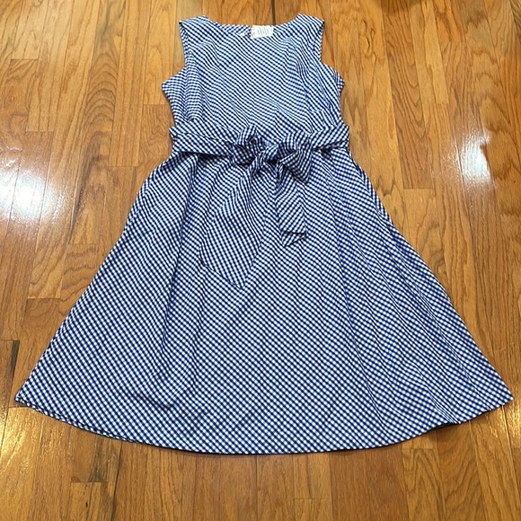 Anne Klein | Dresses | Anne Klein Nwt Size 2x Blue White Gingham Fit Flare  With Pockets Sleeveless | Poshmark